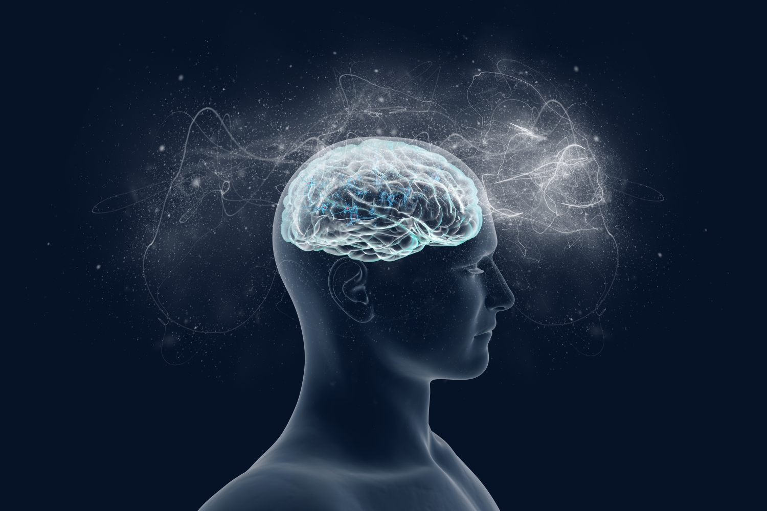 metallisk Bliv såret Flere The Nature of Mind and Brain: A Multimodal Neuroscience Approach - Office  of Global Engagement